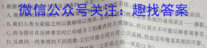 高考快递 2024年普通高等学校招生全国统一考试·信息卷(四)4新高考版/语文