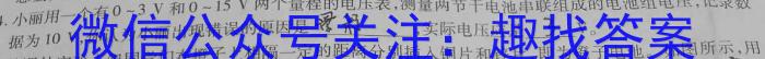 山西省朔州市2023-2024学年度第一学期九年级阶段练习（三）h物理