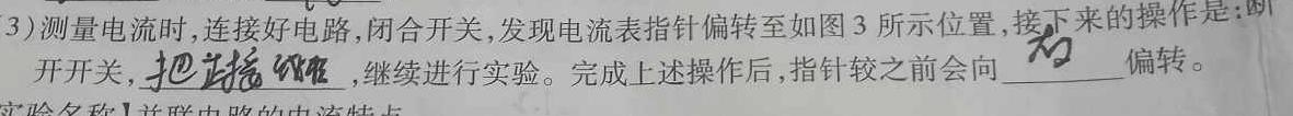 [今日更新]安徽省2023-2024学年九年级上学期学业水平监测(12月).物理试卷答案