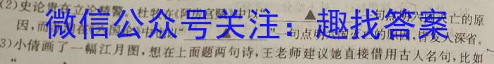 安徽省六安皋城中学2024届初三阶段性目标检测（四）语文