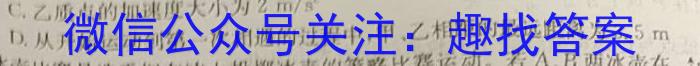 山东名校考试联盟 2023-2024学年高二年级上学期期中检测(2023.11)z物理