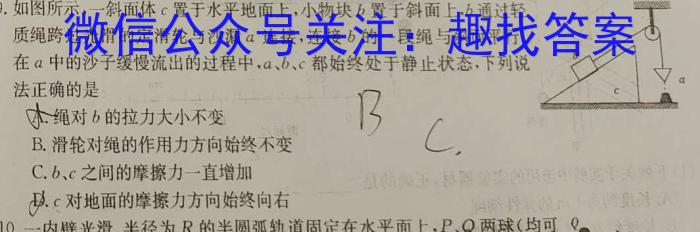 高考快递 2024年普通高等学校招生全国统一考试·信息卷(八)8新高考版物理试卷答案