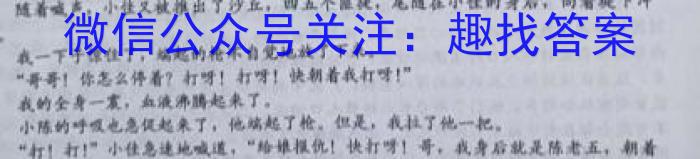 文博志鸿·河南省2023-2024学年九年级第一学期学情分析二/语文