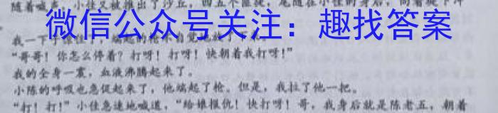 安徽省2024届九年级核心素养评估(二)语文