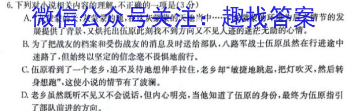 衡水金卷先享题答案2024夯基卷答案/语文