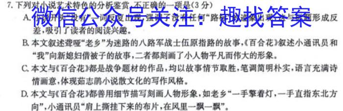 青海、宁夏2024届高三年级上学期12月联考/语文