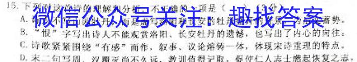 陕西省2023-2024学年度上学期九年级期中教学质量检测（B）语文