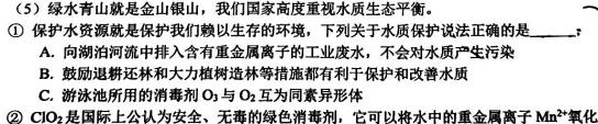 1江西省2023-2024学年度九年级阶段性练习（三）化学试卷答案