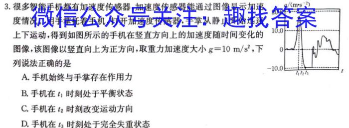 2024年普通高等学校全国统一模拟招生考试新未来高三11月联考物理试题答案