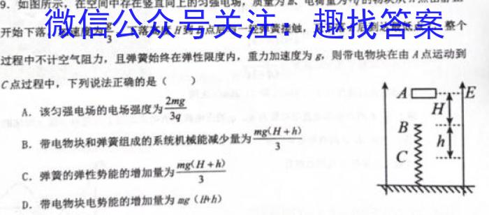 2023~2024学年度高二高中同步月考测试卷 新教材(四)物理试题答案