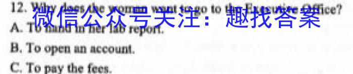 安徽省2024届第一学期九年级12月阶段练习英语