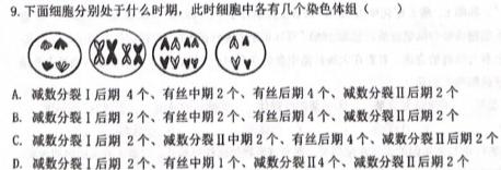 天壹名校联盟·五市十校教研教改共同体·2024届高三12月大联考生物学试题答案