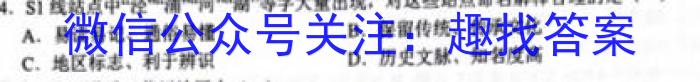 京师测评教育研究中心 2024安徽省高三质量联合检测试卷地理试卷答案