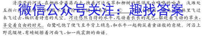 河北省石家庄赵县2023-2024学年度八年级第一学期完美测评②语文