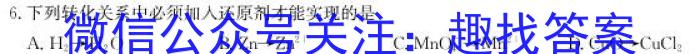 q内蒙古2023-2024学年高二年级上学期11月联考化学