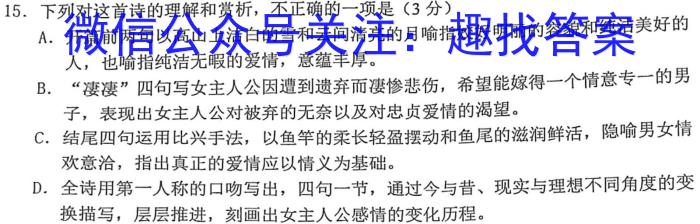 陕西省2023-2024学年度九年级第一学期第二阶段巩固练习语文