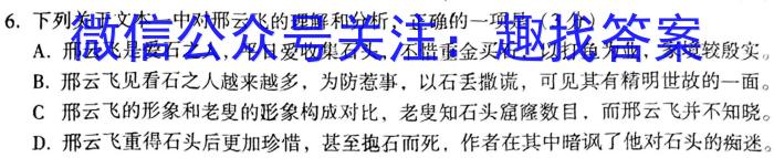 河北省石家庄市赵县2023-2024学年度第一学期期中学业质量检测九年级语文