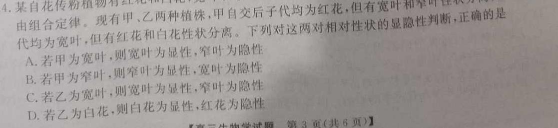 衡水金卷先享题分科综合卷2024答案全国乙卷生物