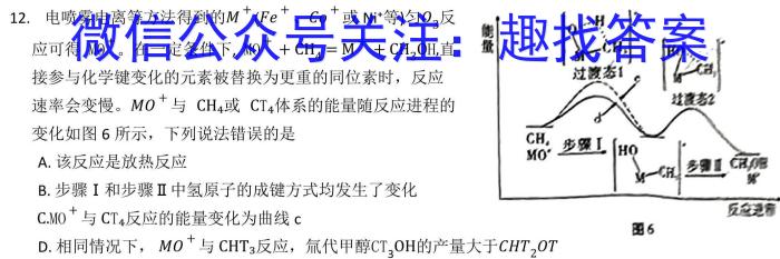 q衡水金卷 广东省2024届高二年级11月份大联考化学