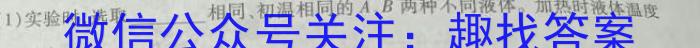 江西省2025届八年级《学业测评》分段训练（二）物理试卷答案