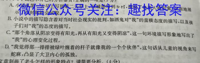 江西省瑞昌市2023-2024学年度上学期九年级期中考试试卷语文