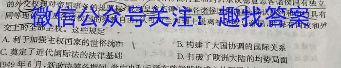 江西省2024届九年级第三次月考（短标）历史试卷