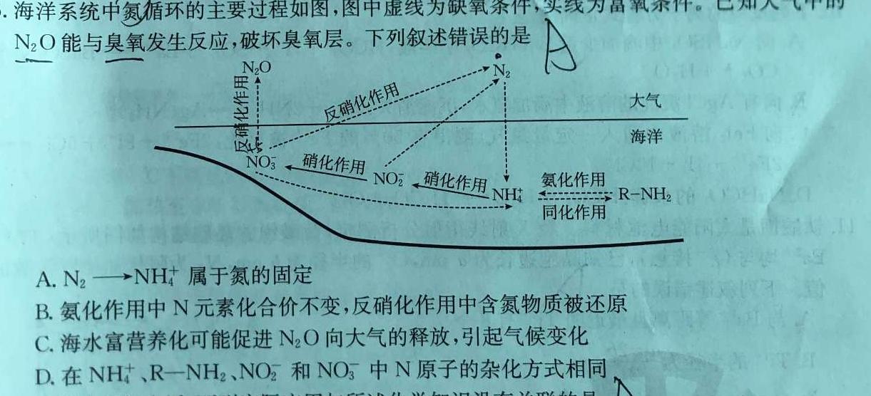 【热荐】河南省2023-2024学年高三试卷11月联考(五个圆圈 HEN)化学