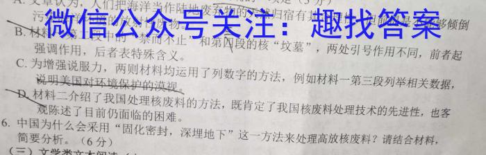 金考卷 百校联盟(新高考卷)2024年普通高等学校招生全国统一考试 领航卷(九)语文