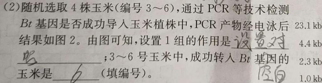 2023-2024学年四川省高一12月联考(24-202A)生物