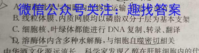 江淮十校2023-2024学年度高一年级上学期12月联考生物学试题答案