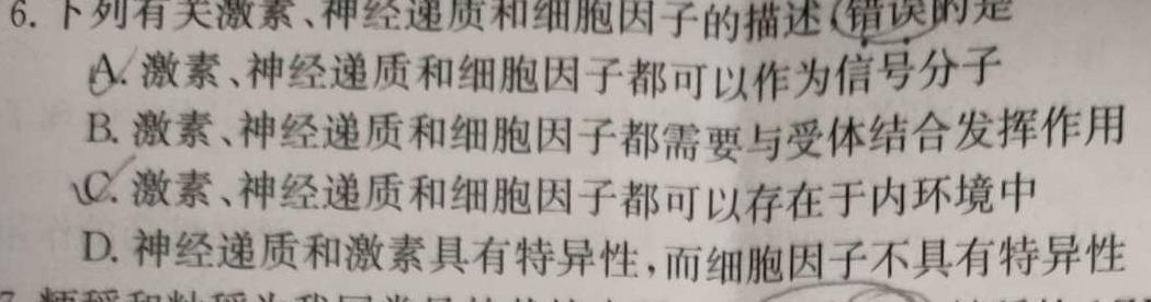 ［四川大联考］四川省2023-2024学年高二年级联考11月期中考试生物学试题答案