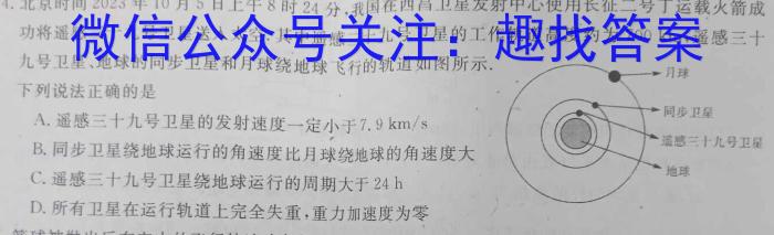 天一大联考 2023-2024学年(上)高二期中考试物理试题答案