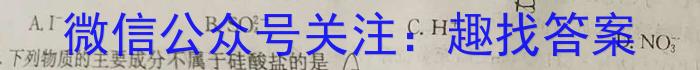 q运城市2023-2024学年高三第一学期期中调研测试(2023.11)化学