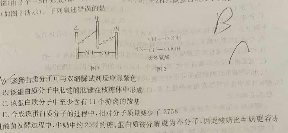 江西省2024届九年级第三次月考（长标）生物