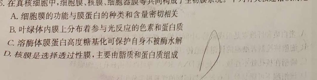 内蒙古2023-2024学年度高二年级上学期11月期中联考生物学试题答案