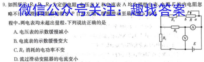 河南省2024届九年级第三次综合素养评估物理试卷答案