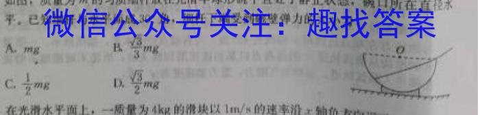 百校名师 2024普通高中高考模拟信息卷(三)物理试题答案