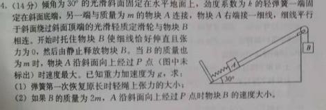 山东省泗水县2023-2024学年第一学期高一年级期中考试物理试题.