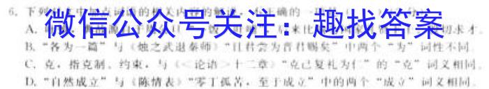 陕西省2023-2024学年度九年级第一学期阶段性学习效果评估(六)语文