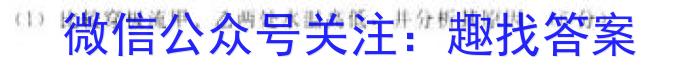 2024年河北省高二5月联考(24-530B)地理试卷答案