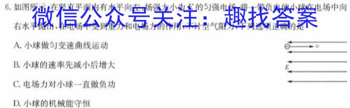 ʡ2023꼶Уѧ۶xԾ