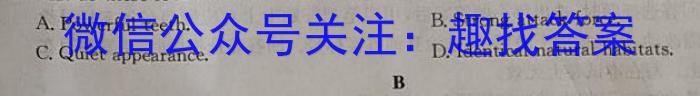 南通金卷-2024新高考全真模拟卷(三)英语