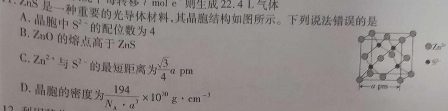 1河北省沧衡八校联盟高三年级2023-2024学年上学期期中考试化学试卷答案