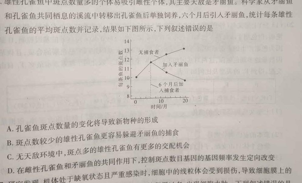 山东普高大联考高二11月联合质量测评生物学试题答案