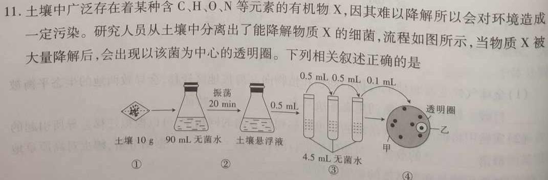 湖北省2024届高三湖北十一校第一次联考生物学试题答案