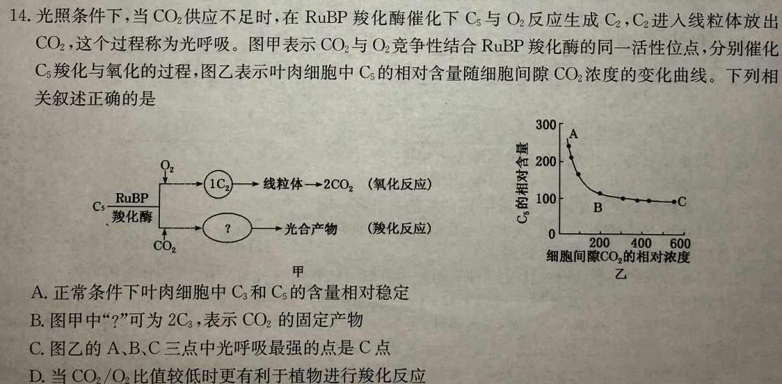 高考快递 2024年普通高等学校招生全国统一考试·信息卷(八)8新高考版生物学部分