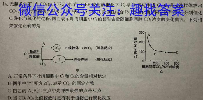 九师联盟 2024届高三12月质量检测S生物学试题答案