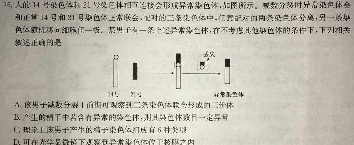 NT2023-2024学年第一学期12月高三阶段测试卷生物学试题答案