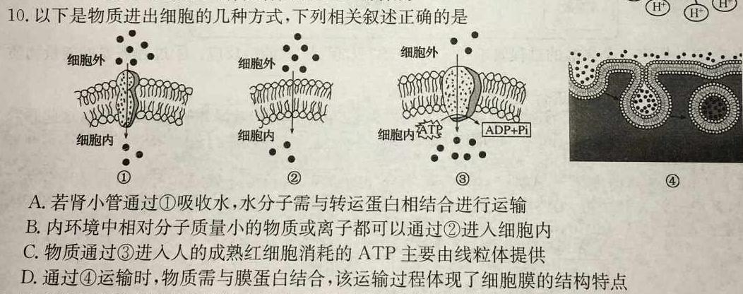 重庆市第八中学2024届高考适应性月考(三)生物学试题答案