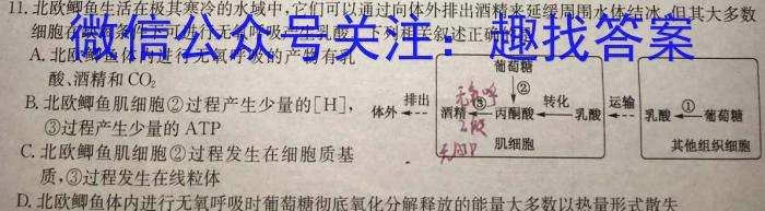 九师联盟 2023~2024学年高三核心模拟卷(中)(二)生物学试题答案